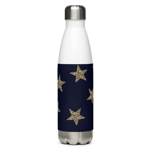 Stainless steel water bottle