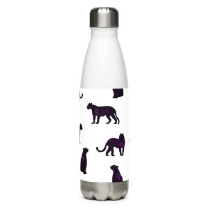 Stainless steel water bottle